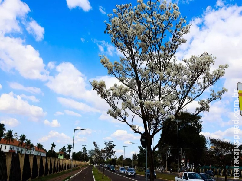 Programe-se: confira o que abre e o que fecha no aniversário de Campo Grande Programe-se: confira o que abre e o que fecha no aniversário de Campo Grande