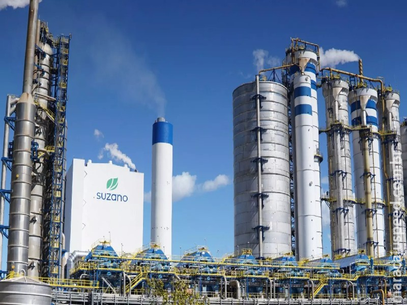 Suzano está com cinco processos seletivos em municípios de MS Suzano está com cinco processos seletivos em municípios de MS