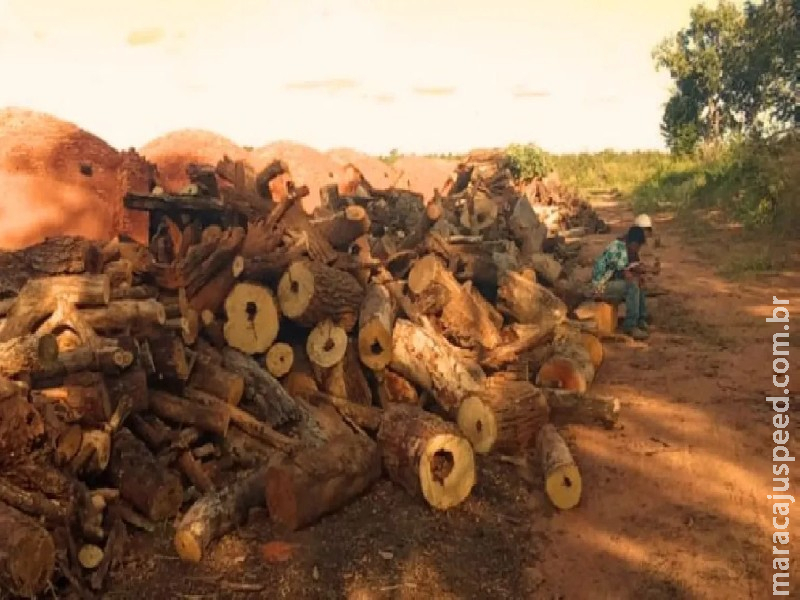 Trabalhadores são resgatados em fazenda em Coxim sob condições degradantes de trabalho Trabalhadores são resgatados em fazenda em Coxim sob condições degradantes de trabalho