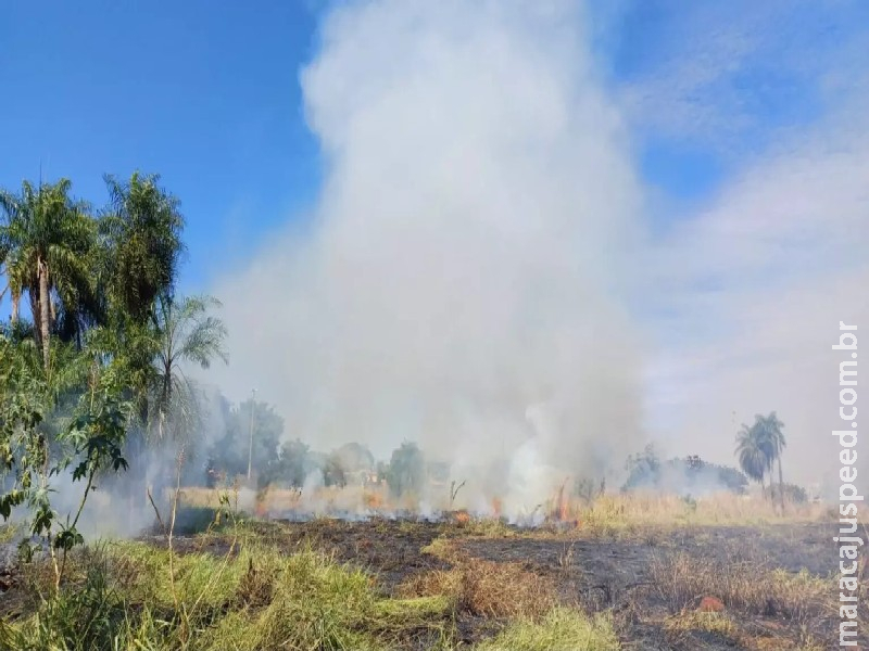 Usado para descarte de entulhos, terreno pega fogo e preocupa moradores em Campo Grande