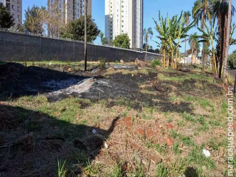 Vizinho de terreno incendiado no Rita Vieira alerta para situação recorrente e abandono Vizinho de terreno incendiado no Rita Vieira alerta para situação recorrente e abandono