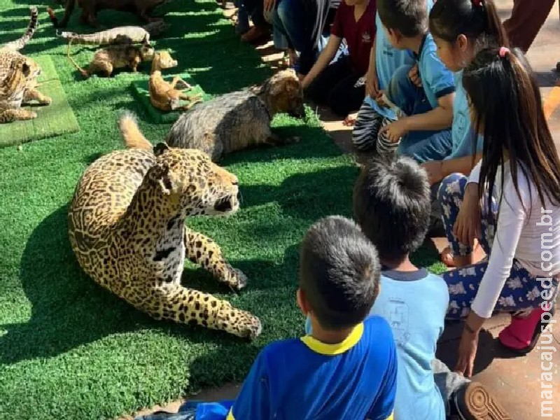 Agentes da PMA conversam sobre educação ambiental com alunos indígenas de Dourados