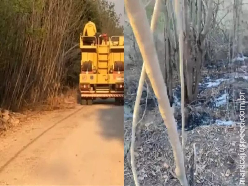 Brigadistas evitam incêndio de grande proporção em área preservada do Pantanal de Ladário Brigadistas evitam incêndio de grande proporção em área preservada do Pantanal de Ladário