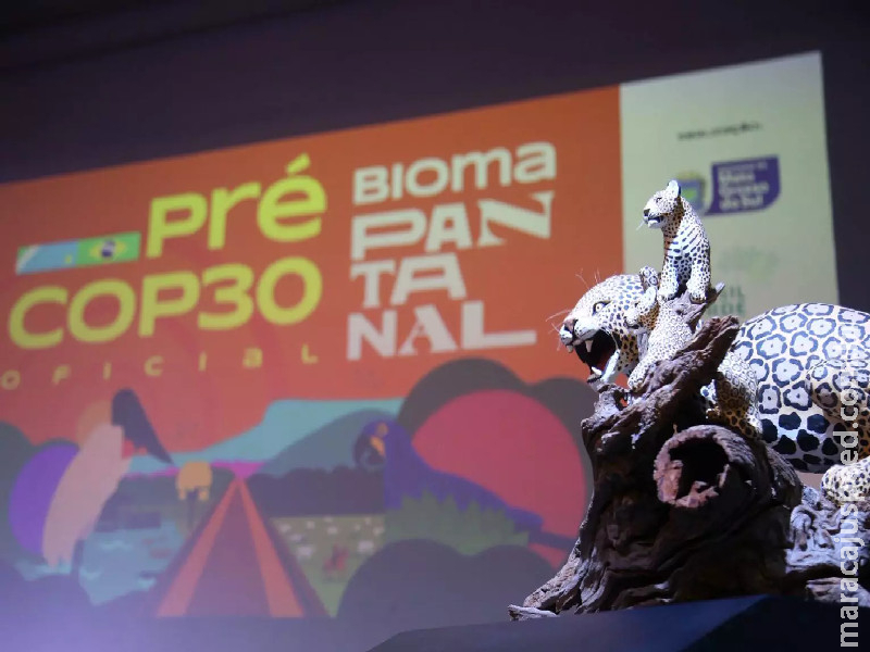 ‘COP de todos os biomas’: evento em Campo Grande discute participação do Pantanal na cúpula do clima da ONU ‘COP de todos os biomas’: evento em Campo Grande discute participação do Pantanal na cúpula do clima da ONU