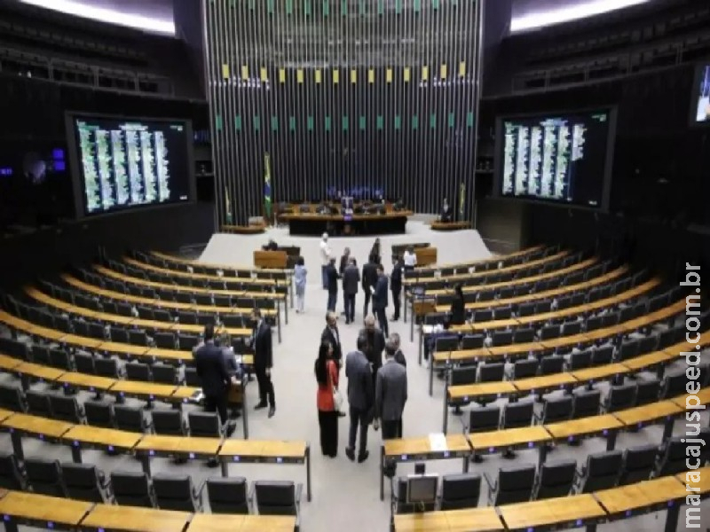 Deputados Federais querem proibir uso de carroças e de animais em circos
