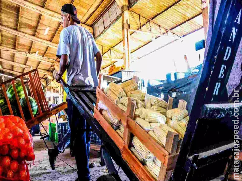 Do campo à mesa: mandioca lidera vendas e Ceasa tem crescimento de 18,78% na comercialização Do campo à mesa: mandioca lidera vendas e Ceasa tem crescimento de 18,78% na comercialização