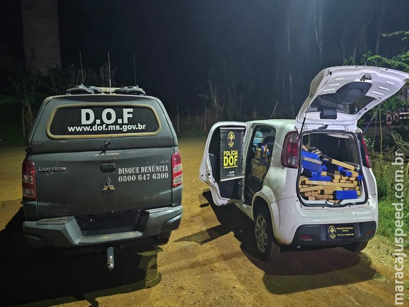 DOF apreende mais de meia tonelada de drogas em Maracaju e causa prejuízo de R$ 1,4 milhão ao crime DOF apreende mais de meia tonelada de drogas em Maracaju e causa prejuízo de R$ 1,4 milhão ao crime
