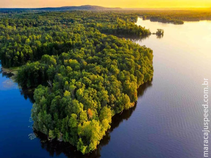 Em 40 anos, Amazônia perdeu área de vegetação do tamanho da França