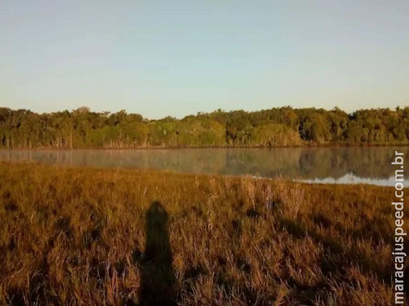 Homem é encontrado morto em assentamento de Sidrolândia