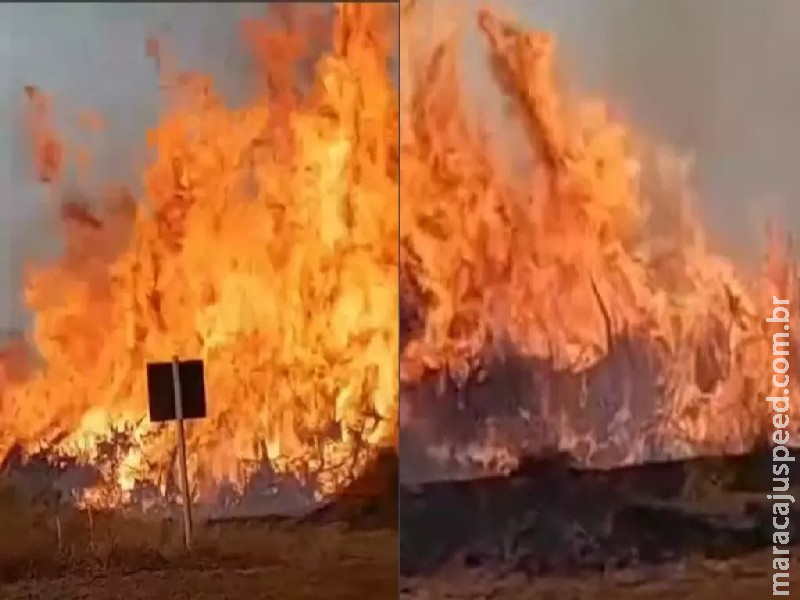 Incêndio de grandes proporções entre MS e GO foi controlado após 8h de trabalho Incêndio de grandes proporções entre MS e GO foi controlado após 8h de trabalho