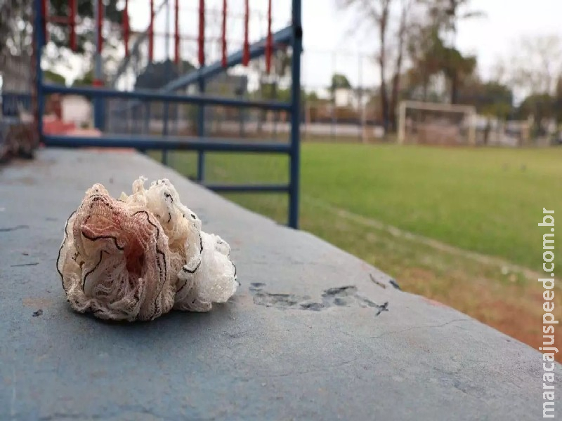 Mercado onde adolescente esfaqueado pediu socorro já foi invadido em outras brigas Mercado onde adolescente esfaqueado pediu socorro já foi invadido em outras brigas