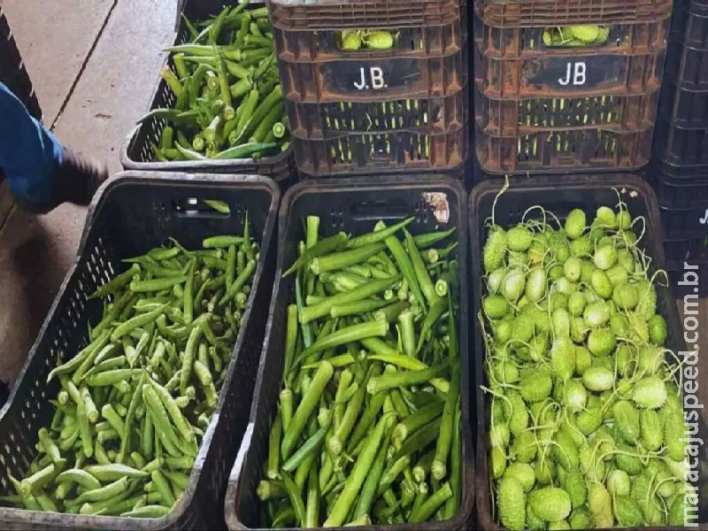 Preço das hortaliças cai, mas frutas registram alta na Ceasa de Campo Grande
