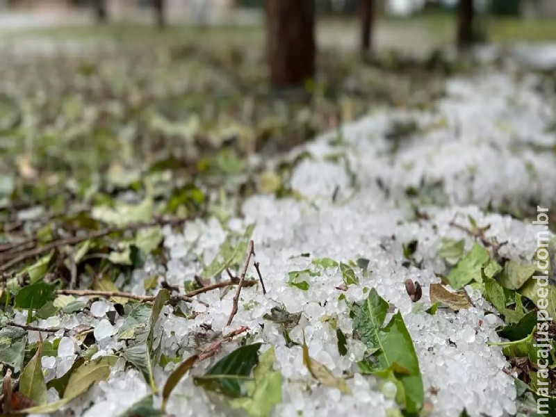 Produtores que tiveram perdas por eventos climáticos já podem acessar nova linha de crédito
