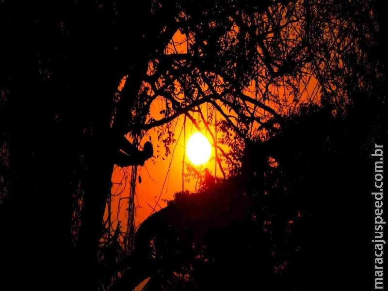 Sem trégua: MS vai enfrentar mais uma semana inteira com calorão de 40°C