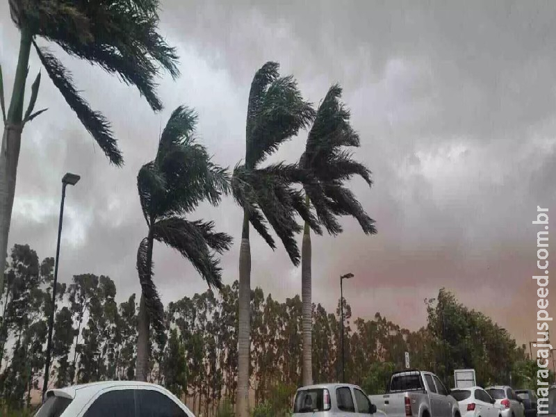 Setembro começa com alerta de tempestade com ventos de até 100 km/h em Dourados Setembro começa com alerta de tempestade com ventos de até 100 km/h em Dourados