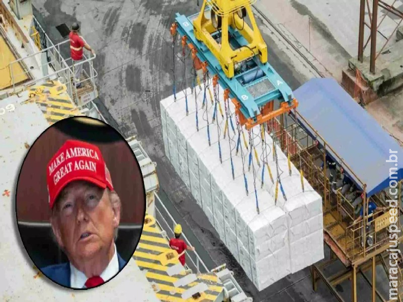 Tarifaço: Exportações de MS para os Estados Unidos despencam 61% em agosto Tarifaço: Exportações de MS para os Estados Unidos despencam 61% em agosto