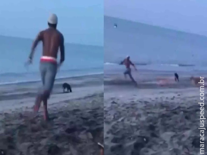 Vingança? Homem tenta agredir cachorro e acaba perseguido por ‘gangue’ de cães Vingança? Homem tenta agredir cachorro e acaba perseguido por ‘gangue’ de cães