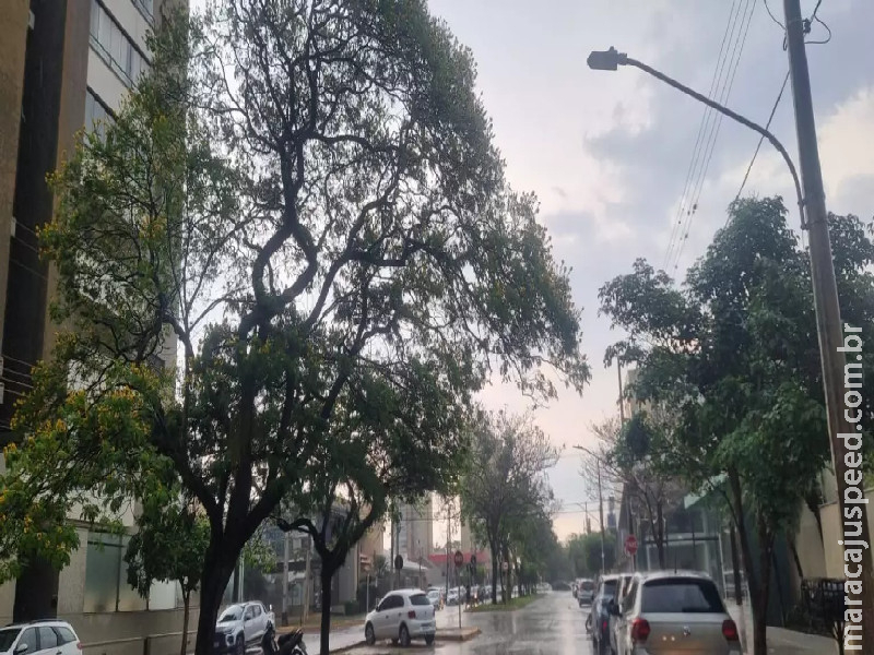Após calor de quase 40 graus, Dourados tem chuva de 14.6 mm e temperatura cai para 16.6ºC Após calor de quase 40 graus, Dourados tem chuva de 14.6 mm e temperatura cai para 16.6ºC