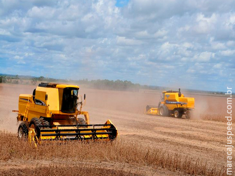 Celeiro para o mundo: MS se consolida como estado exportador de produtos para mais de 120 países Celeiro para o mundo: MS se consolida como estado exportador de produtos para mais de 120 países