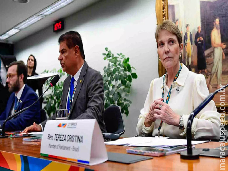 Com Nelsinho e Tereza, comissão avalia regras para registro de terras em fronteiras