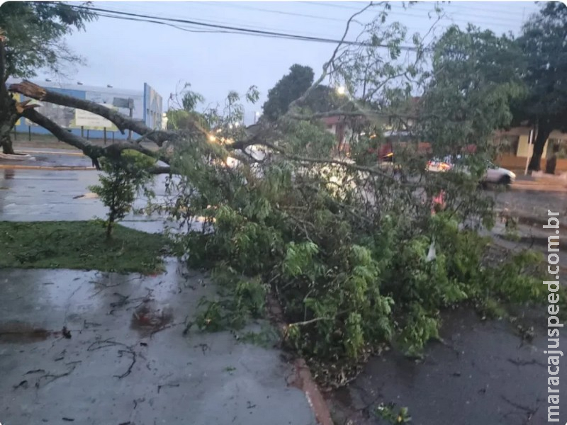 Cuidado nas ruas: tempestade com ventos fortes se aproxima de Mato Grosso do Sul Cuidado nas ruas: tempestade com ventos fortes se aproxima de Mato Grosso do Sul