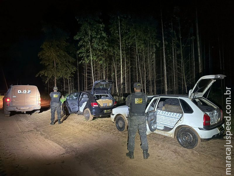 DOF apreende dois veículos carregados com cigarros que seriam entregues em Campo Grande DOF apreende dois veículos carregados com cigarros que seriam entregues em Campo Grande