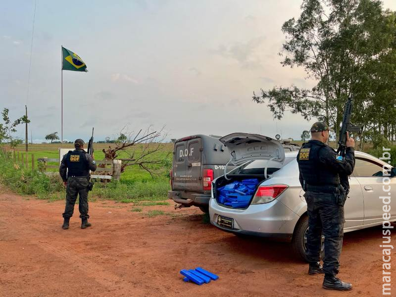DOF apreende quase 900 quilos de drogas que seriam entregues no interior paulista DOF apreende quase 900 quilos de drogas que seriam entregues no interior paulista