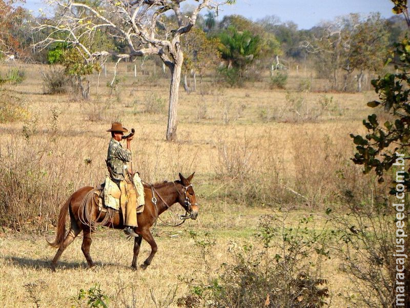 Entre o tereré e o chapéu, MS chega aos 48 anos com fama de 