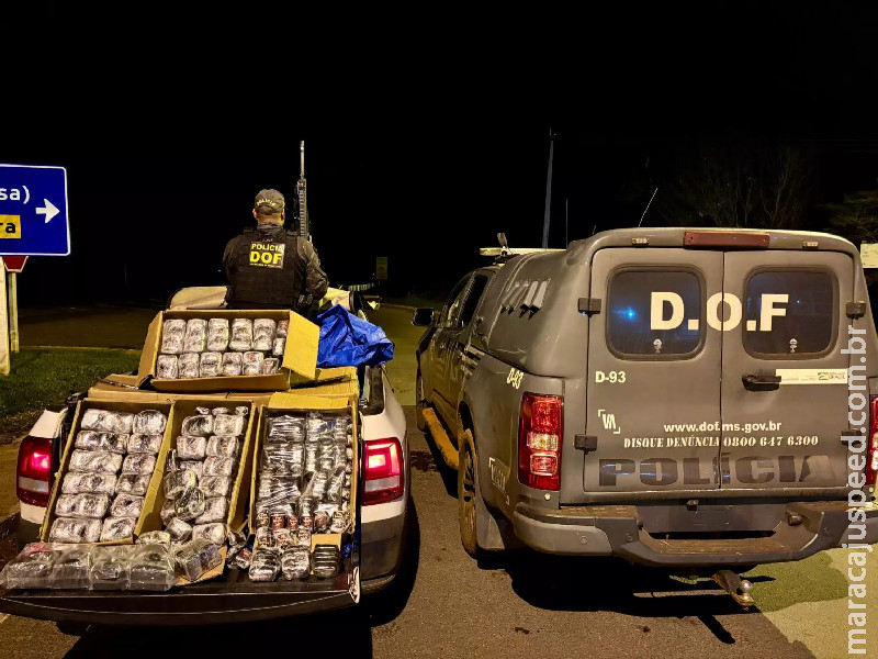 Haxixe misturado com carga hospitalar é apreendido em Naviraí Haxixe misturado com carga hospitalar é apreendido em Naviraí