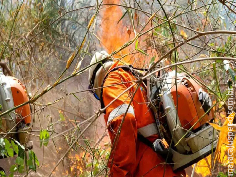 Incêndio na Serra do Amolar já consumiu quase 13 mil hectares e ameaça comunidade local Incêndio na Serra do Amolar já consumiu quase 13 mil hectares e ameaça comunidade local