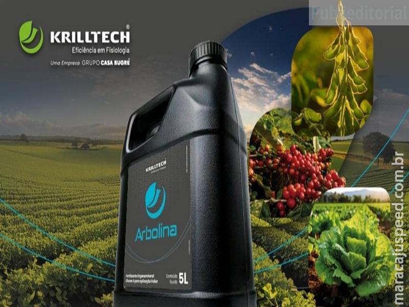 Mais retorno por hectare: tecnologia brasileira Arbolina aumenta a produtividade ao sinalizar processos fisiológicos das plantas