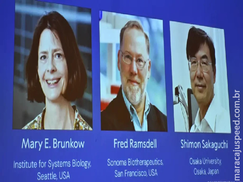 Nobel de Medicina premia cientistas que alavancaram pesquisa contra câncer e doenças autoimunes