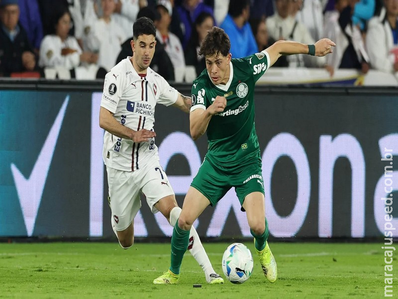 Palmeiras x LDU pela Libertadores: onde assistir ao vivo, estatísticas, histórico e escalações Palmeiras x LDU pela Libertadores: onde assistir ao vivo, estatísticas, histórico e escalações