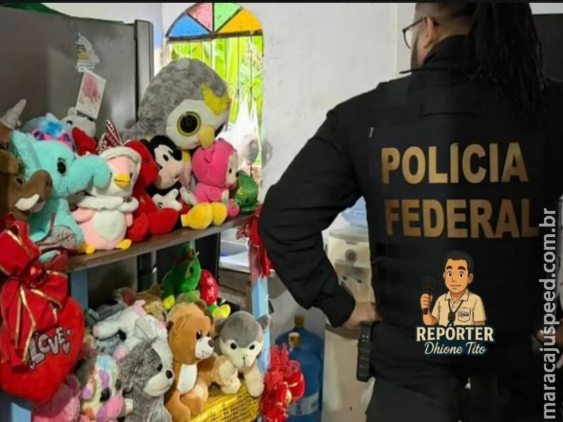 Polícia Federal realiza megaoperação nacional contra crimes de abuso infantil em 16 estados Polícia Federal realiza megaoperação nacional contra crimes de abuso infantil em 16 estados