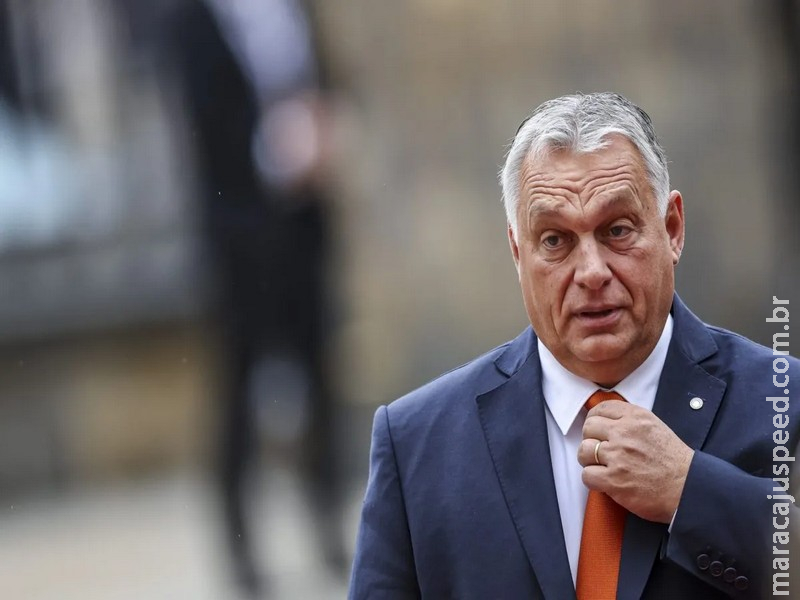 Primeiro-ministro húngaro garante a Putin condições para reunião com Trump em Budapeste Primeiro-ministro húngaro garante a Putin condições para reunião com Trump em Budapeste