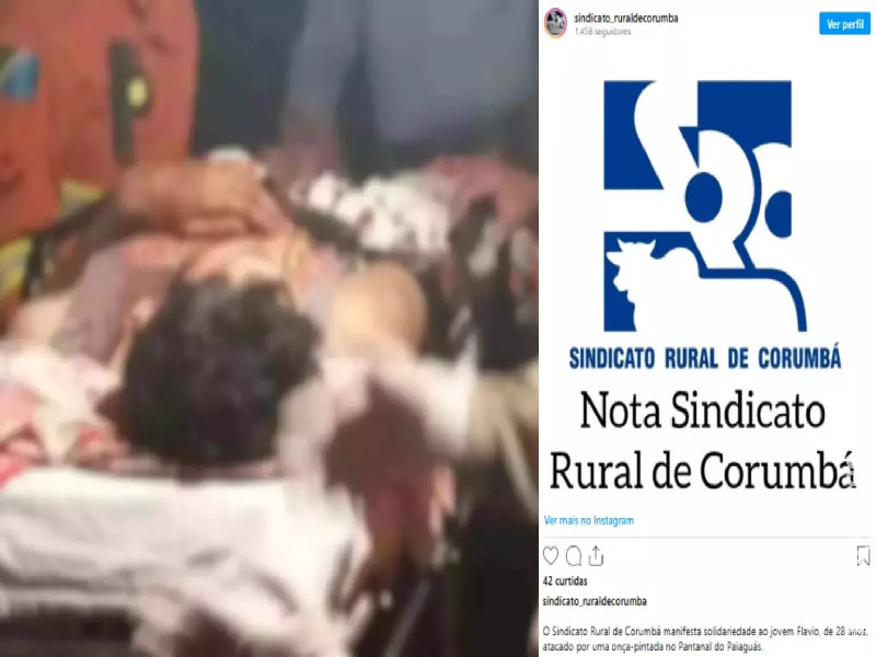 Sindicato Rural de Corumbá demonstra solidariedade a peão ferido por onça-pintada Sindicato Rural de Corumbá demonstra solidariedade a peão ferido por onça-pintada
