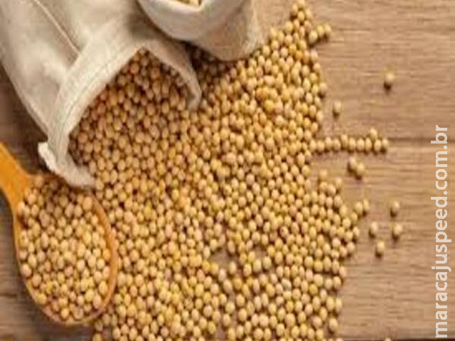 Soja e trigo: confira as cotações de preço para esta sexta-feira (17)