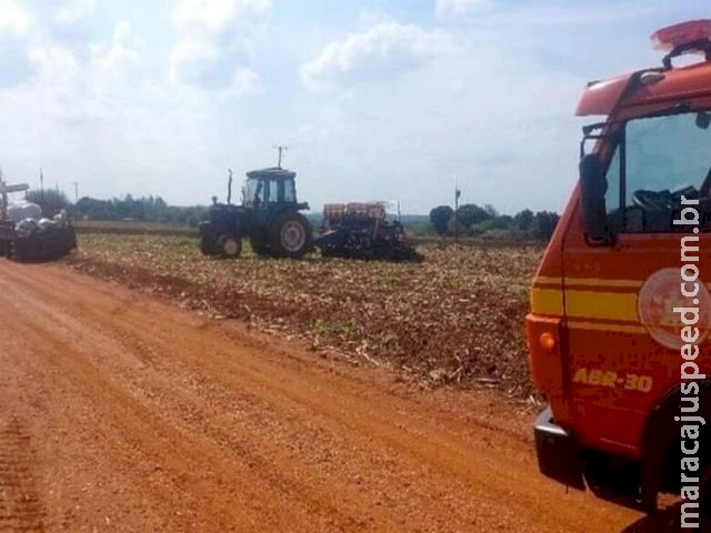 Trabalhador rural morre após ser atacado por enxame de abelhas em Fátima do Sul Trabalhador rural morre após ser atacado por enxame de abelhas em Fátima do Sul