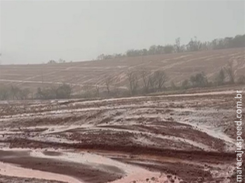  ‘A falta de informação jurídica custa caro ao produtor’ diz Fabio Lamonica ao destacar riscos no campo