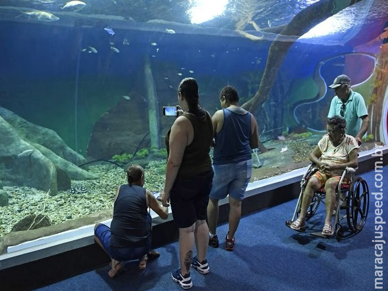 Bioparque Pantanal recebe selo internacional “ouro” por sustentabilidade e se destaca entre atrativos turísticos mundiais