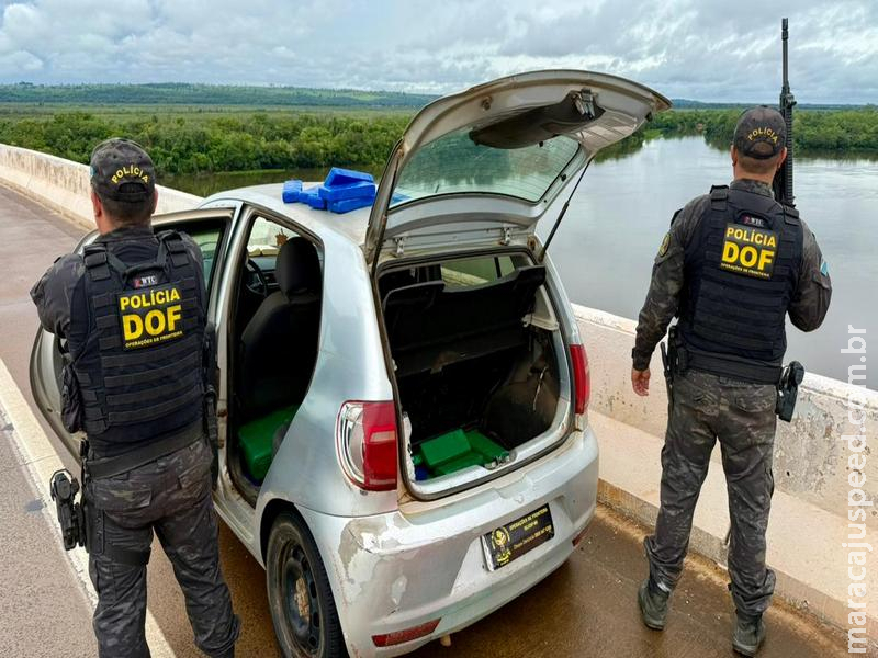 DOF apreende 147 quilos de drogas que seriam entregues no Paraná