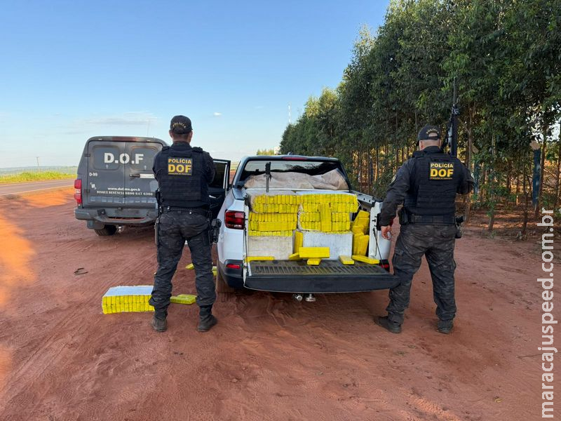 DOF apreende mais de uma tonelada de maconha destinada ao Paraná
