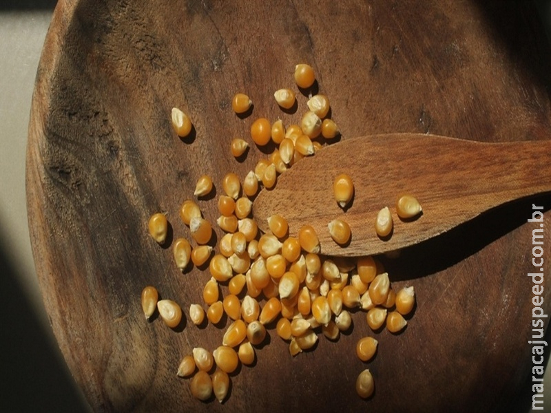  Dólar e oferta pressionam preços internos do milho