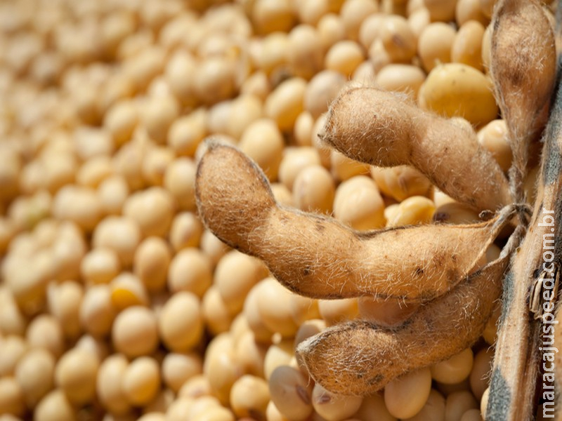 Exportações do agronegócio somam US$ 15,49 bilhões em outubro e registram recorde para o mês