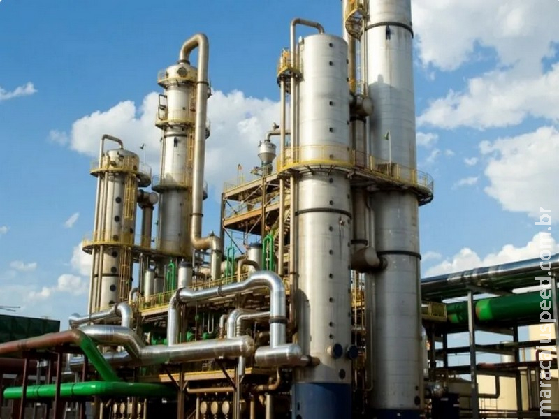 Gigante da bioenergia pode estar envolvida em falsificação de documento ambiental em MS