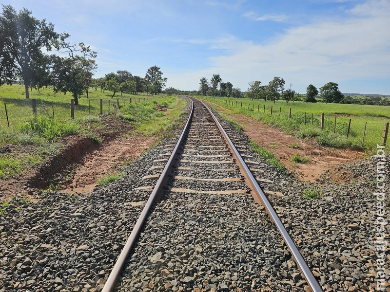 Imasul concede Licença Prévia para implantação de ramal ferroviário da Arauco em Inocência