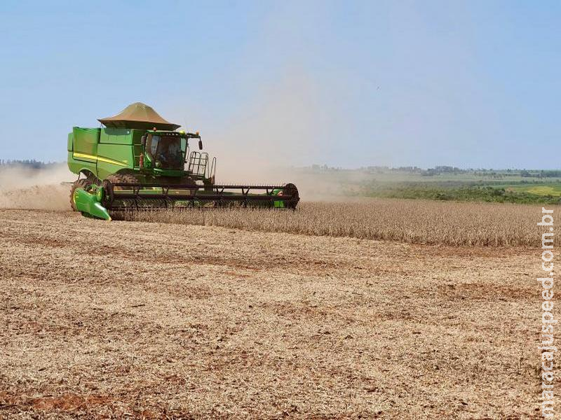 Mato Grosso do Sul: tomada de crédito agrícola cai 53% em outubro