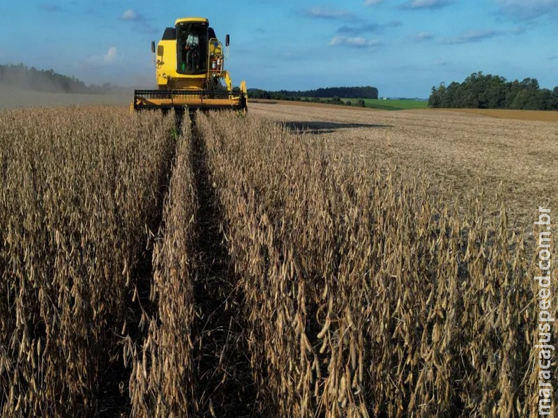 Mesmo com acordo China-EUA, Brasil terá recorde nas exportações de soja