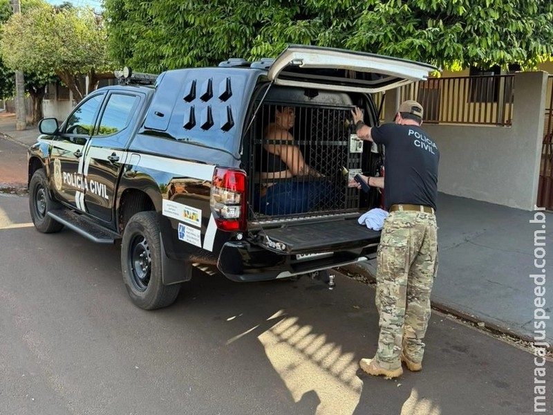 Mulher é presa em Nova Andradina durante operação contra golpe do falso advogado