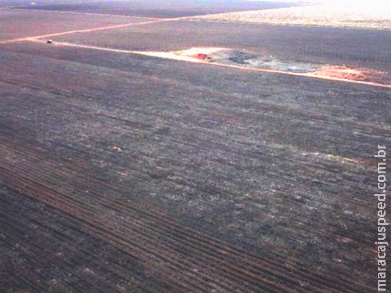 Multa de R$ 4,8 milhões: incêndio em canavial devasta áreas protegidas e leva MPMS a abrir investigação em Angélica